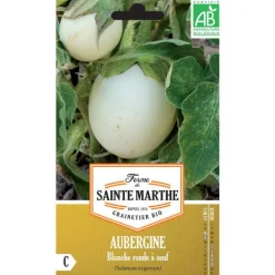 Graines de Aubergine blanche ronde à œuf bio Ferme de Sainte Marthe - 50 graines à semer