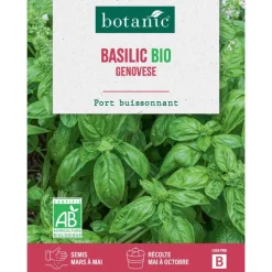 Graines de basilic à grandes feuilles bio botanic® - graines à semer