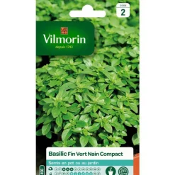 Graines de basilic fin vert nain compact Vilmorin - graines à semer