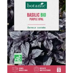 Graines de Basilic purple opal bio botanic® - graines à semer