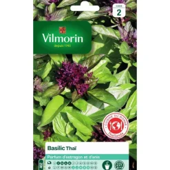 Graines de basilic thaï Vilmorin - graines à semer