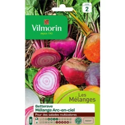 Graines de betterave arc en ciel Vilmorin - graines à semer