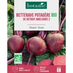 Graines de betterave de détroit améliorée 2 bio botanic® - graines à semer