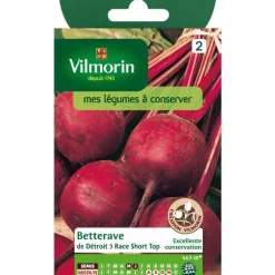 Graines de Betterave de détroit short top Vilmorin - graines à semer