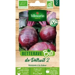 Graines de betterave de détroit 2 bio Vilmorin - graines à semer