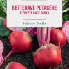 Graines de betterave d'Egypte race sultan botanic® - graines à semer