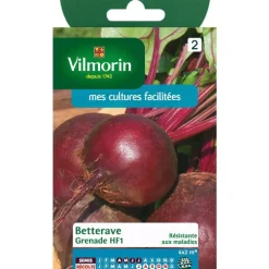 Graines de betterave grenade HF1 Vilmorin - graines à semer