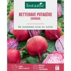 Graines de Betterave potagère Chioggia botanic® - graines à semer