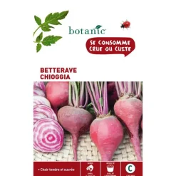 Graines de Betterave potagère Chioggia botanic® - graines à semer