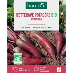 Graines de Betterave potagère cylindra bio botanic® - graines à semer