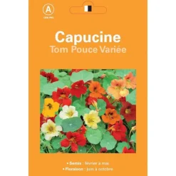 Graines de Capucine Tom Pouce variée - graines à semer