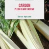 Graines de cardon plein blanc inerme botanic® - graines à semer