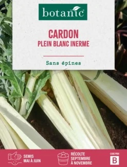 Graines de cardon plein blanc inerme botanic® - graines à semer