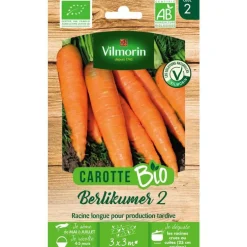 Graines de carotte berlikumer 2 Vilmorin - graines à semer