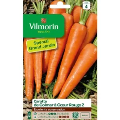 Graines de carotte Colmar à cœur rouge Vilmorin - graines à semer