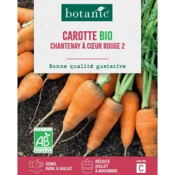Graines de carotte de Chantenay à cœur rouge 2 bio botanic® - graines à semer