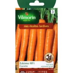 Graines de carotte eskimo HF1 Vilmorin - graines à semer