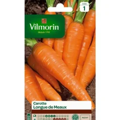 Graines de carotte longue meaux Vilmorin - graines à semer