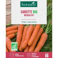 Graines de Carotte merida hybride F1 bio botanic® - graines à semer