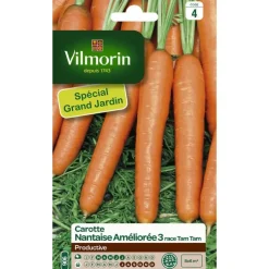Graines de carotte nantaise améliorée 3 race tam tam Vilmorin - graines à semer