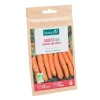 Graines de carotte nantaise améliorée 3 bio botanic® - graines à semer