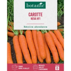 Graines de Carotte neva hybride F1 botanic® - graines à semer