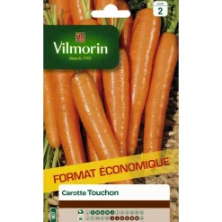Graines de carotte touchon Vilmorin - graines à semer