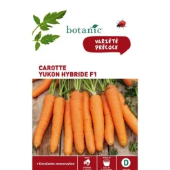 Graines de Carotte Yukon Hybride F1 botanic® - graines à semer