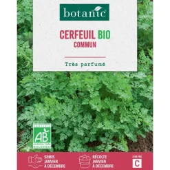 Graines de cerfeuil commun bio botanic® - graines à semer