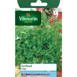 Graines de cerfeuil frisé Vilmorin - graines à semer