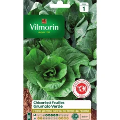 Graines de chicorée à feuilles Grumolo verde Vilmorin - graines à semer