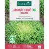 Graines de chicorée frisée Walonne bio botanic® - graines à semer