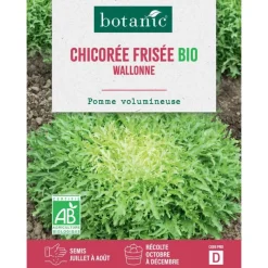Graines de chicorée frisée Walonne bio botanic® - graines à semer