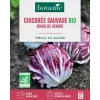 Graines de Chicorée sauvage rouge de Vérone bio botanic® - graines à semer