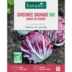 Graines de Chicorée sauvage rouge de Vérone bio botanic® - graines à semer