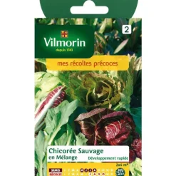 Graines de chicorée sauvage en mélange Vilmorin - graines à semer