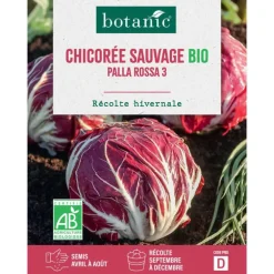 Graines de chicorée sauvage palla rossa 3 bio botanic® - graines à semer