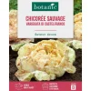 Graines de chicorée sauvage variegata di castelfranco insolite botanic® - graines à semer