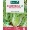 Graines de chicorée sauvage améliorée pain de sucre bio botanic® - graines à semer