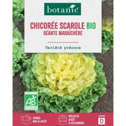 Graines de chicorée scarole géante maraîchère bio botanic® - graines à semer