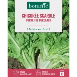 Graines de chicorée scarole cornet de Bordeaux botanic® - graines à semer