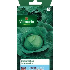 Graines de chou cabus de brunswick Vilmorin - graines à semer