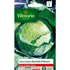 Graines de chou cabus quintal d’Alsace Vilmorin - graines à semer