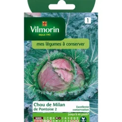 Graines de chou de Milan de pontoise Vilmorin - graines à semer