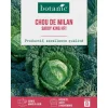 Graines de chou de Milan roi des Milans HF1 botanic® - graines à semer