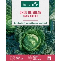 Graines de chou de Milan roi des Milans HF1 botanic® - graines à semer