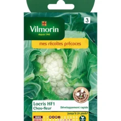 Graines de chou fleur locris HF1 Vilmorin - graines à semer