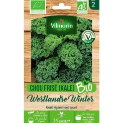 Graines de chou kale frisé westlandse winter bio Vilmorin - graines à semer