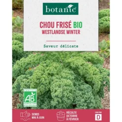 Graines de chou kale westlandse winter bio botanic® - graines à semer