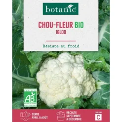 Graines de Chou-fleur igloo bio botanic® - graines à semer
